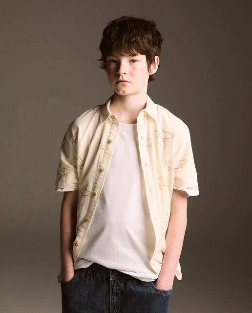 Imagen 0 de Camisa bordado