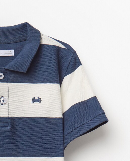 Polo rugby