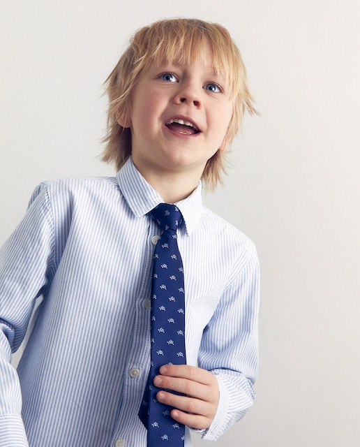 Imagen 0 de Corbata tortuga