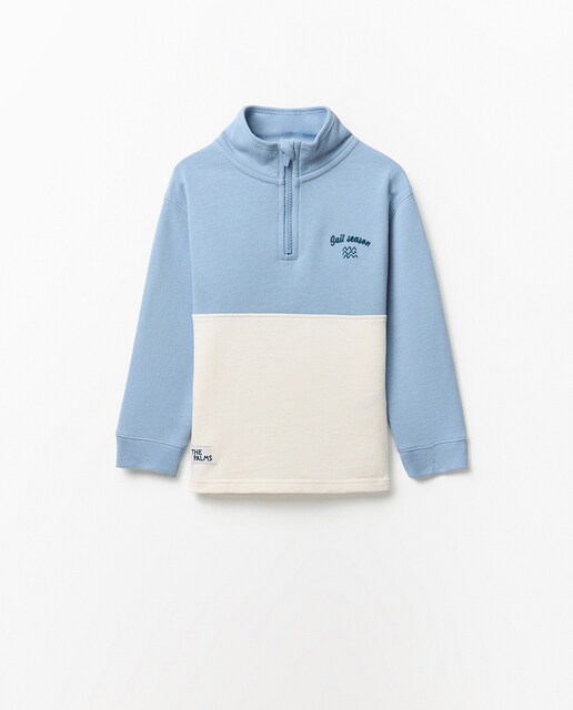 Imagen 0 de Sudadera cuello cremallera