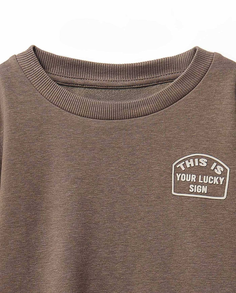 Sweatshirt Básica Lisa Sfera Castanho-2