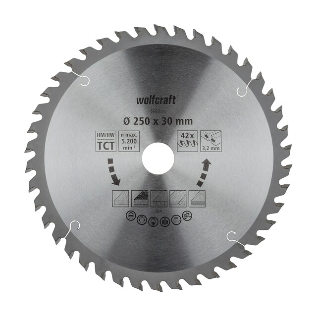 Imagen 0 de Disco Sierra Circular Mesa CT Cortes Finos y Limpios Ø 250 mm