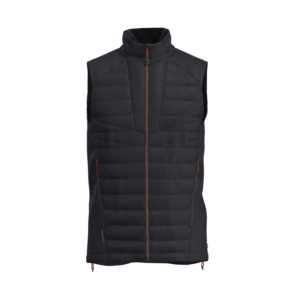 Imagen 0 de Chaqueta Bidasoa Vest Hombre Negra