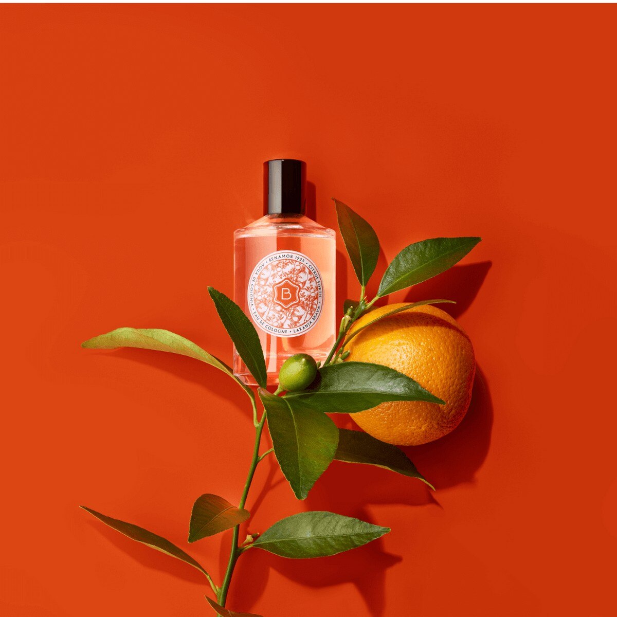 Laranja Brava Colónia Extraordinária - 100 ml 3