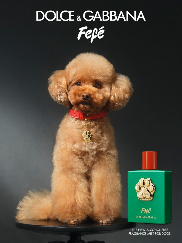Fefé Fragrância Sem Álcool Para Cães 3