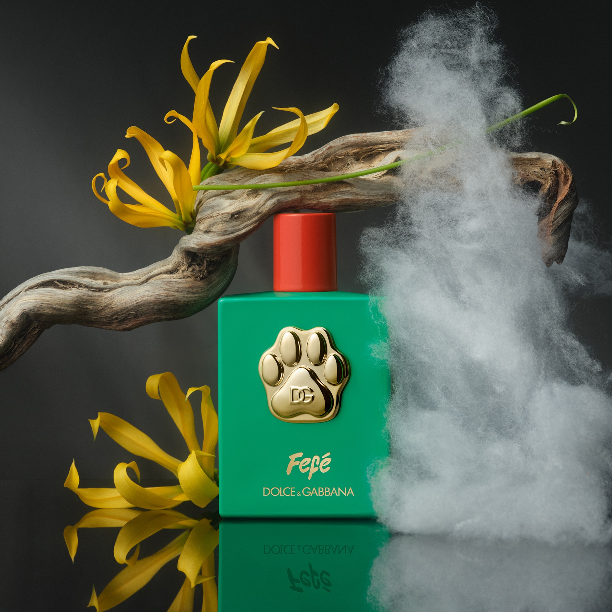 Fefé Fragrância Sem Álcool Para Cães 4