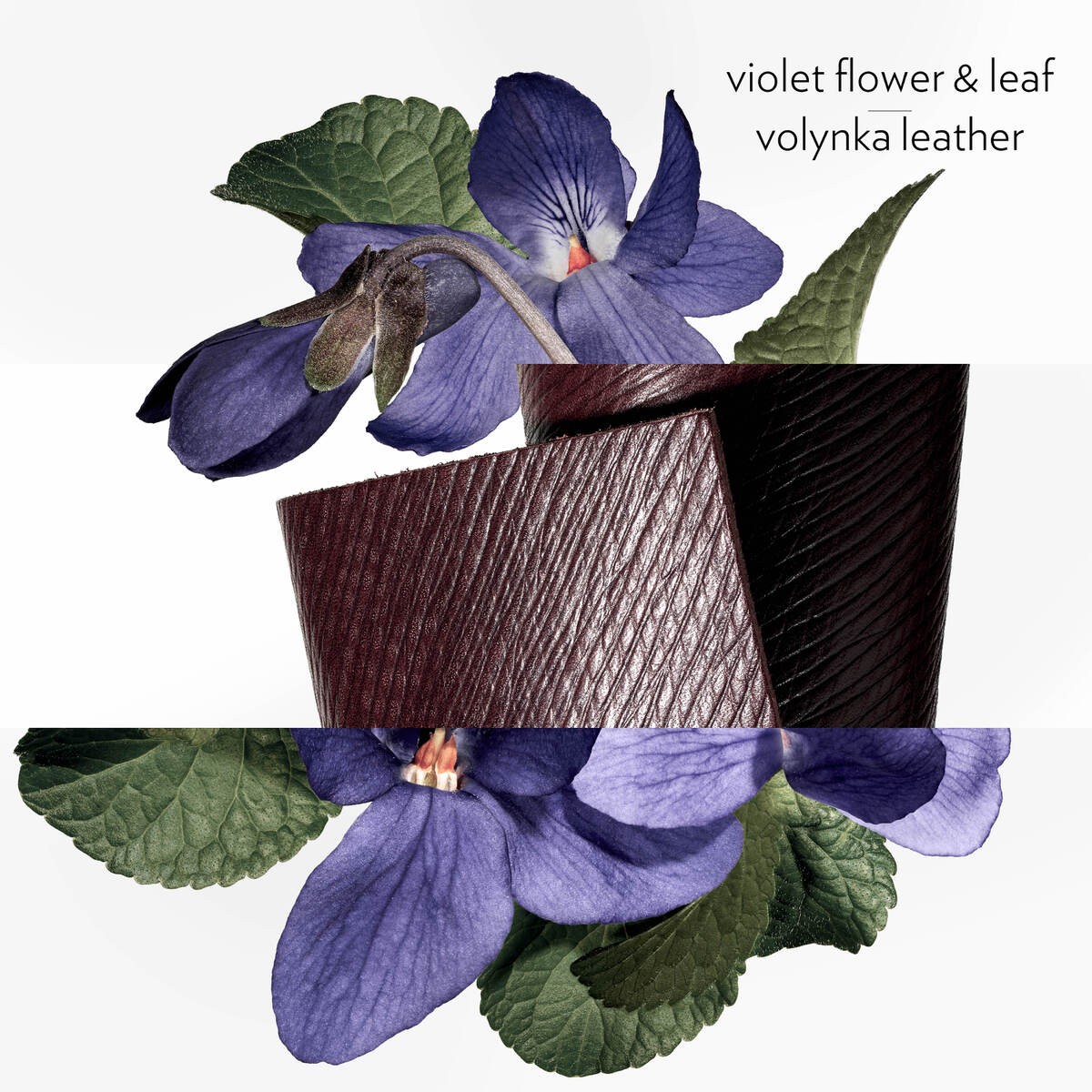 Violette Volynka Eau de Toilette Hermessence Collection 3