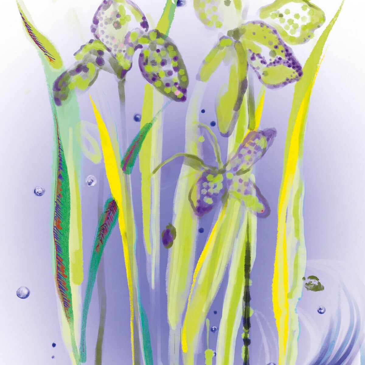 L'Eau Rêvée d'Alma Eau de Toilette - 100 ml 4