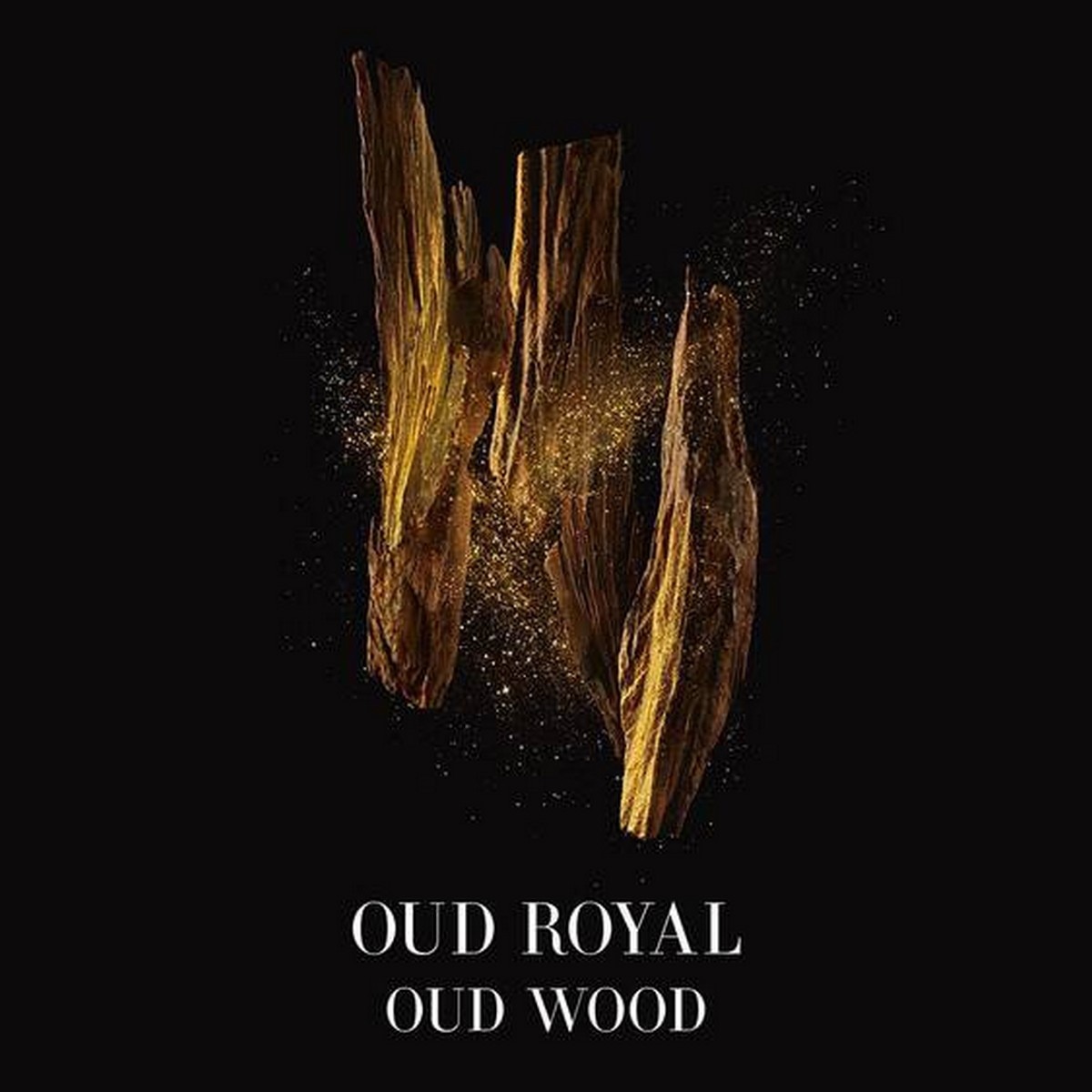 Oud Royal Eau de Parfum Intense Armani Privé 100 ml 4