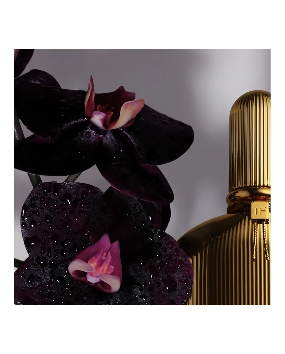 Black Orchid Eau de Parfum 2