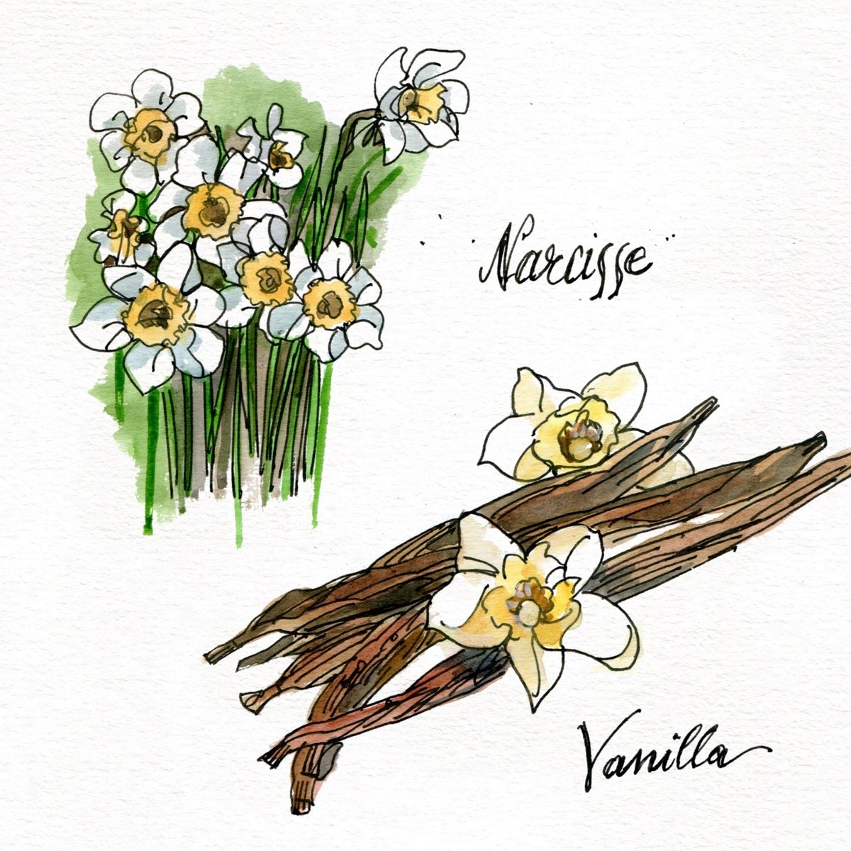 Siwa Eau de Parfum - 75 ml 5