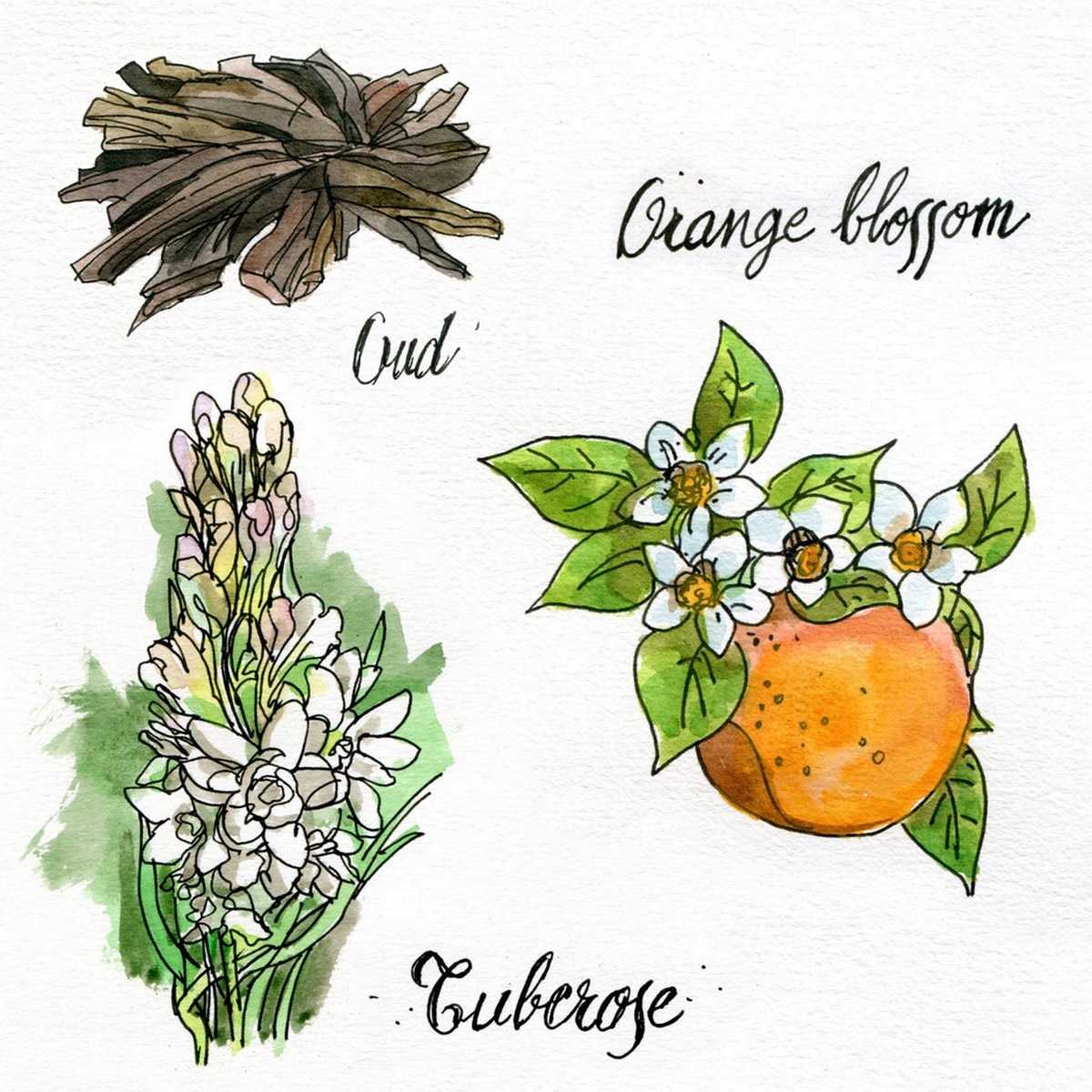 Marfa Oud Eau de Parfum 4