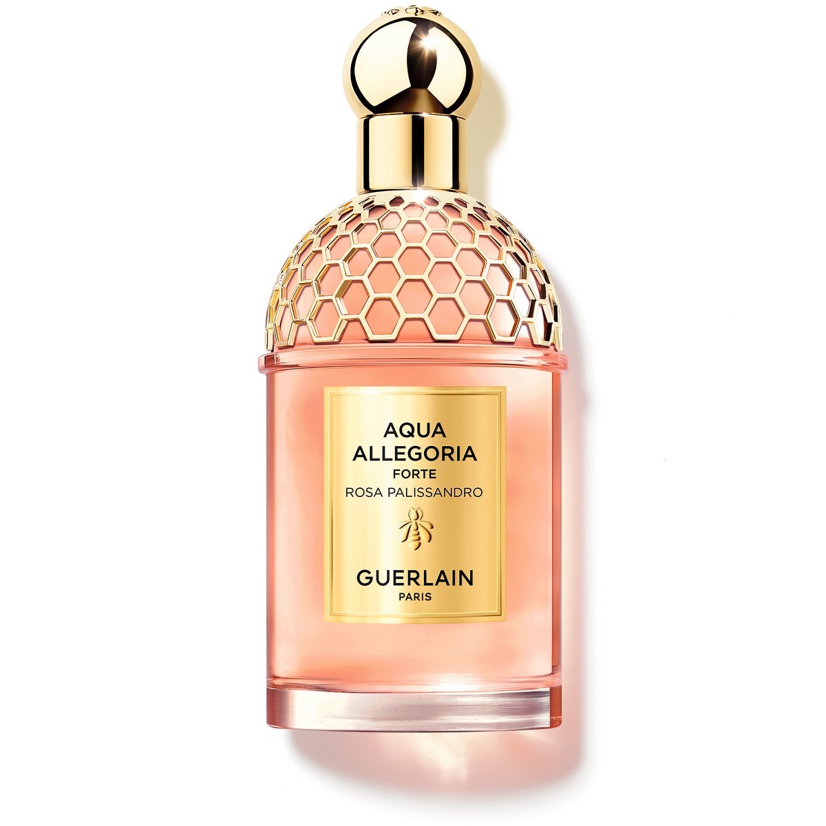 Imagem 0 de Aqua Allegoria Forte Rosa Palissandro Eau de Parfum - 125 ml