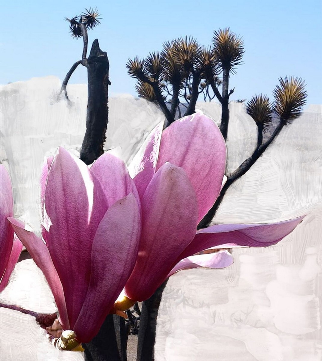 Óleo Perfumado Roll-on Mojave Ghost - 7,5 ml 3