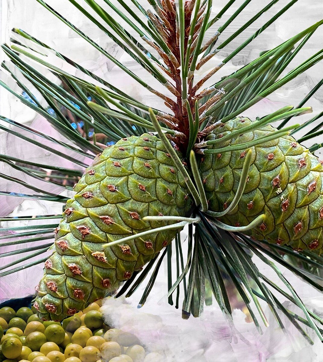 Gypsy Water Eau de Parfum - 100 ml 4