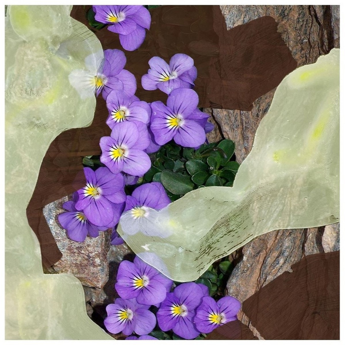 1996 Eau de Parfum - 100 ml 4