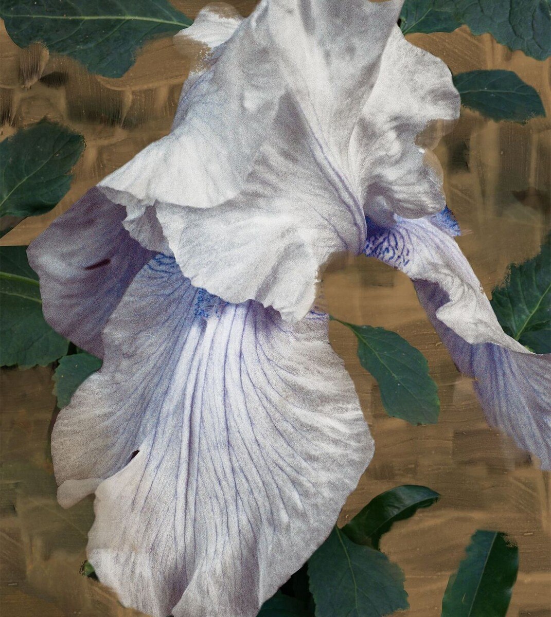 Eyes Closed Eau de Parfum - 100 ml 3