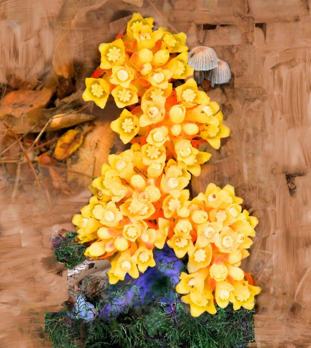 De Los Santos Eau de Parfum - 100 ml 3