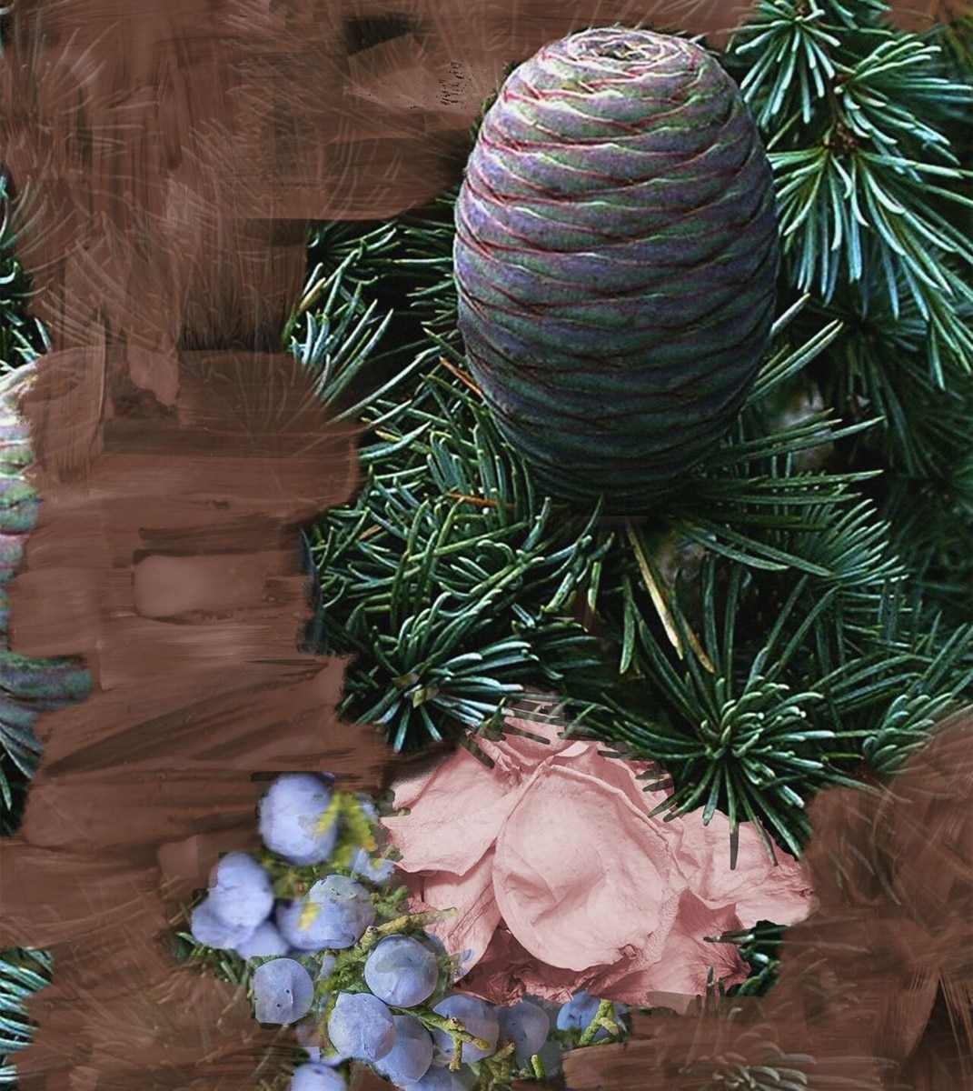 Super Cedar Eau de Parfum - 100 ml 4