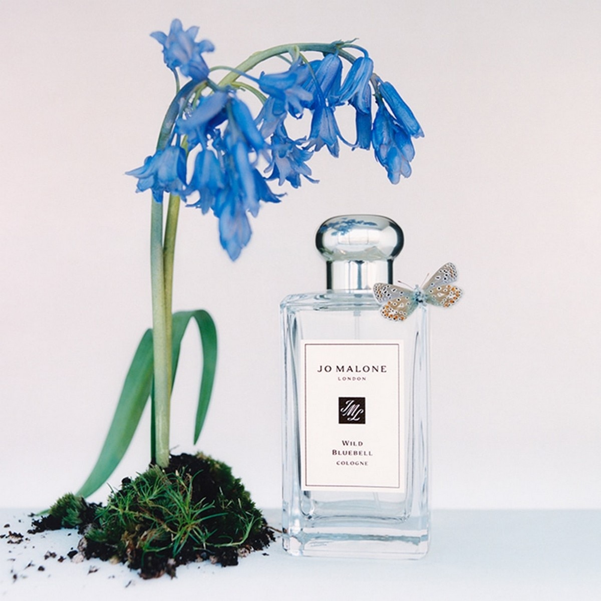 Wild Bluebell Cologne - 50 ml 3