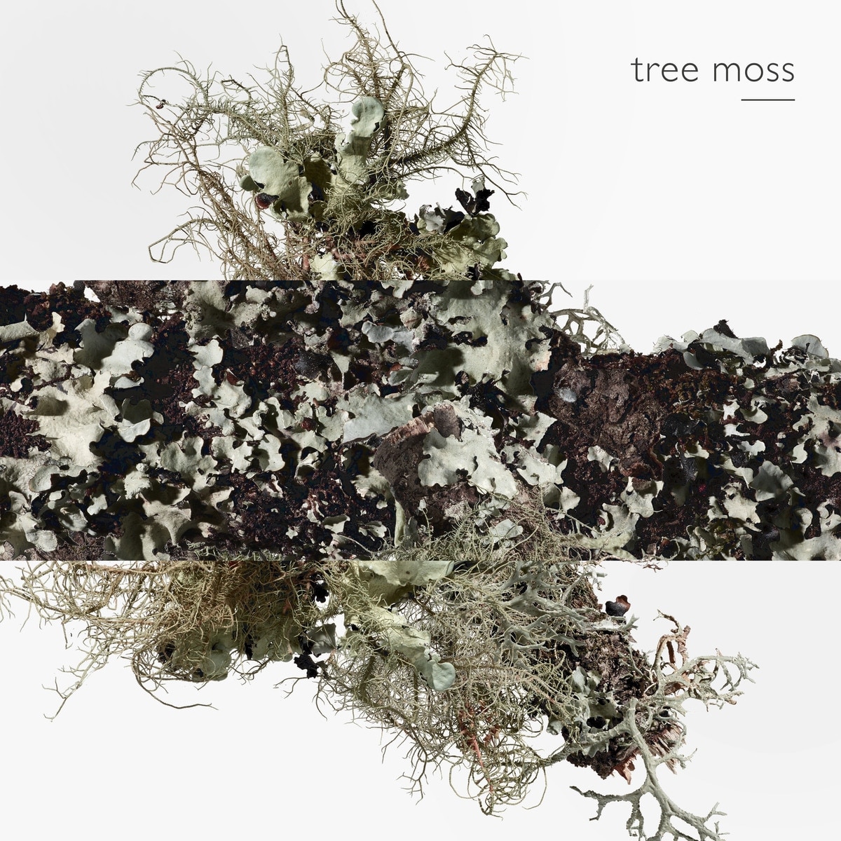 Eau d'Orange Verte Eau de Cologne 5