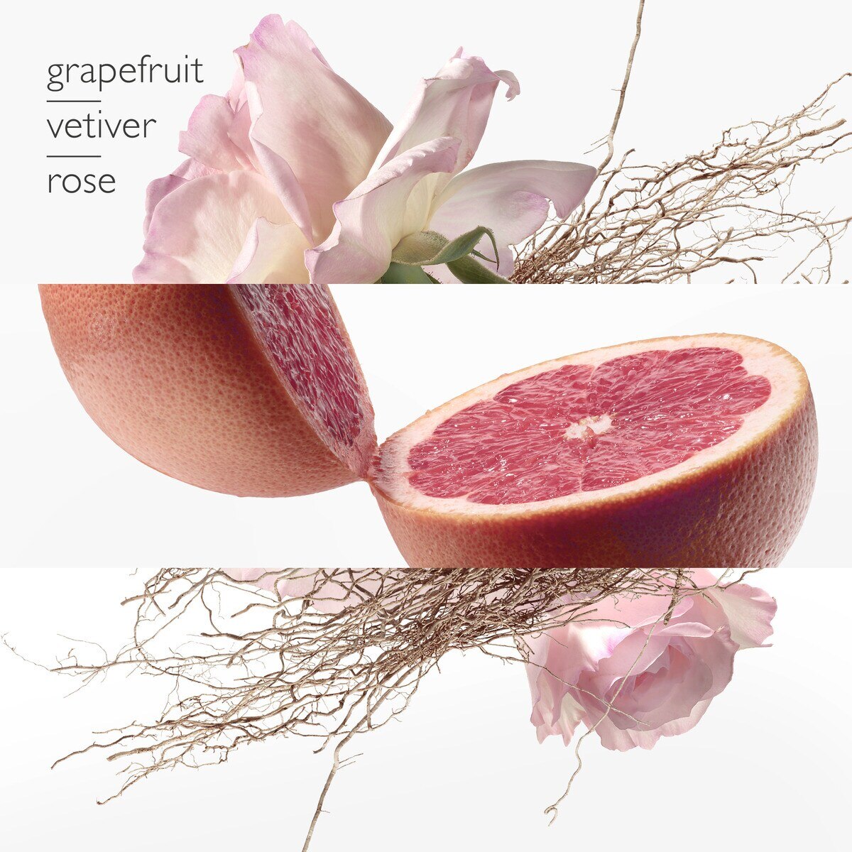 Concentré de Pamplemousse Rose Eau de Toilette - 100 ml 2