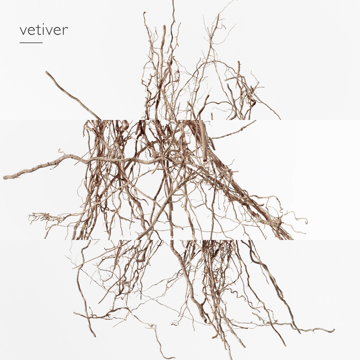 Concentré de Pamplemousse Rose Eau de Toilette - 100 ml 5