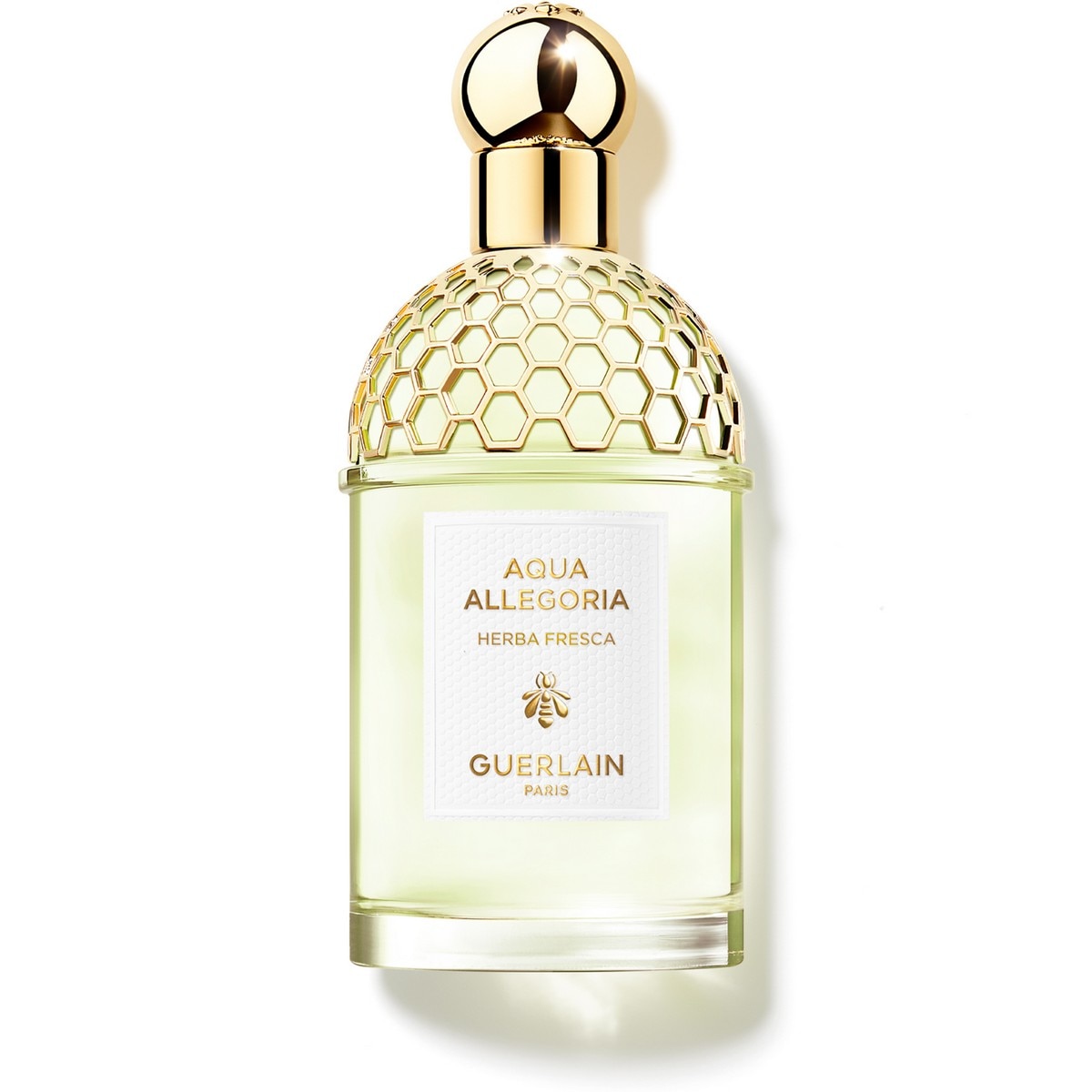 Imagem 0 de Aqua Allegoria Herba Fresca Eau de Toilette - 125 ml