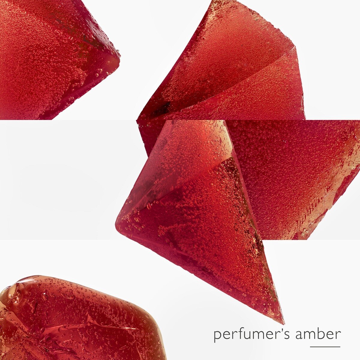 L'Ambre des Merveilles Eau de Parfum 5