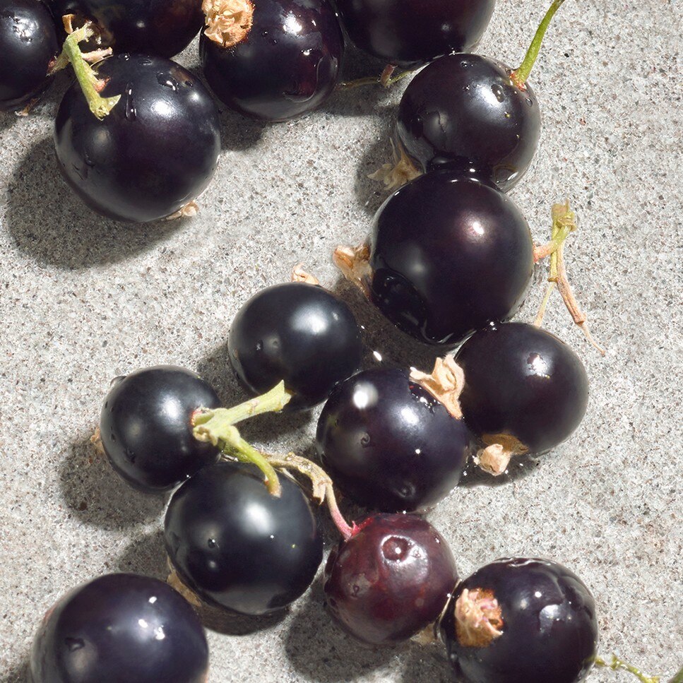 Dolce Violet Eau de Toilette 5