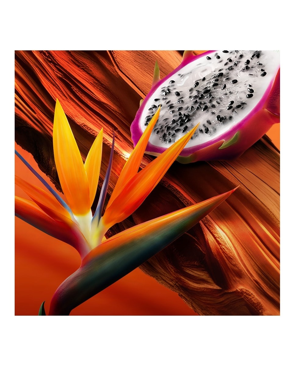 Escada Bali Paradise Eau de Toilette 3