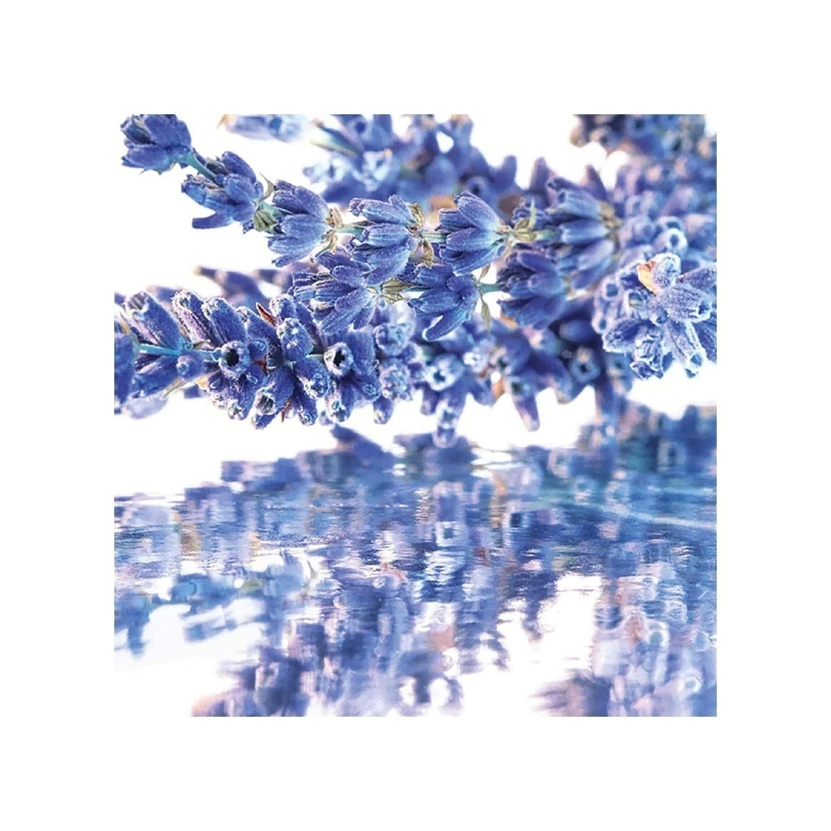 Mon Guerlain Eau de Parfum - 50 ml 3