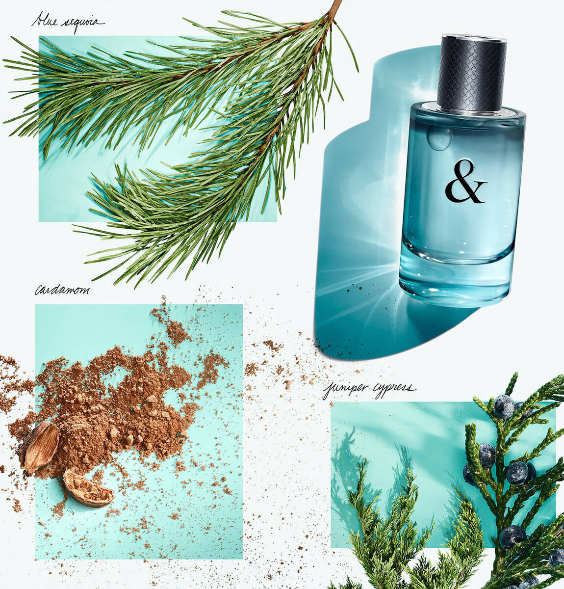 Tiffany & Love Eau de Parfum 4