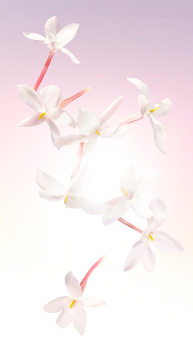 Idôle Eau de Parfum 25ml Lancôme 17