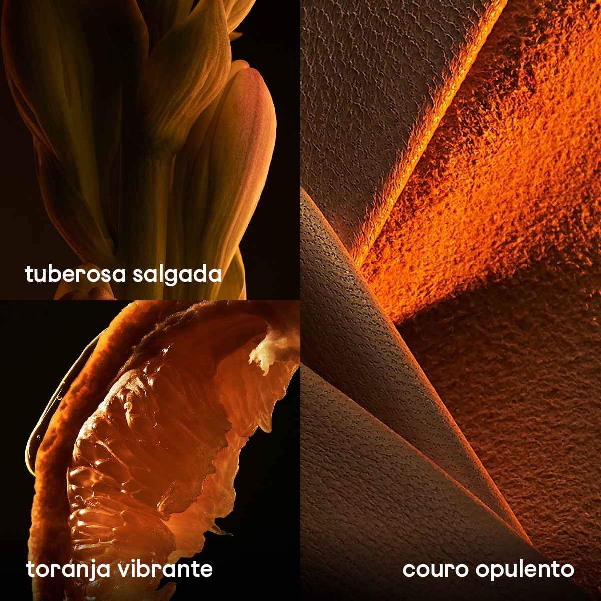 1 Million Parfum Eau de Parfum 3