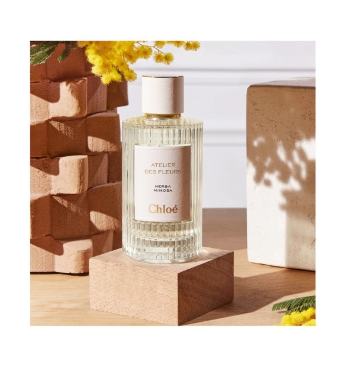 Herba Mimosa Atelier des Fleurs Eau de Parfum 3