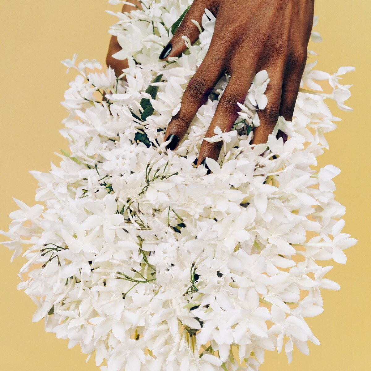 Perfect Intense Eau de Parfum 50ml Marc Jacobs 14