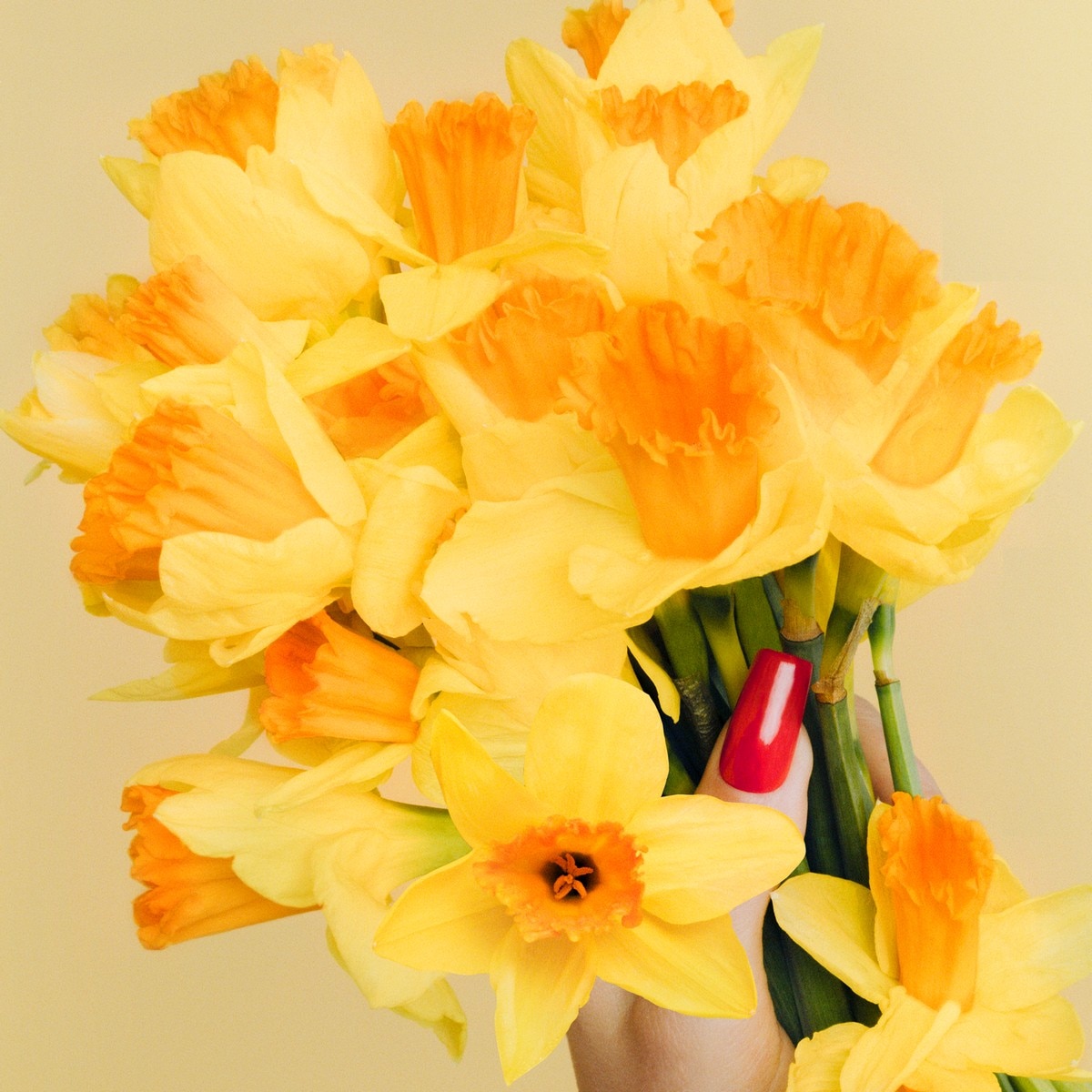 Perfect Intense Eau de Parfum 100ml Marc Jacobs 13