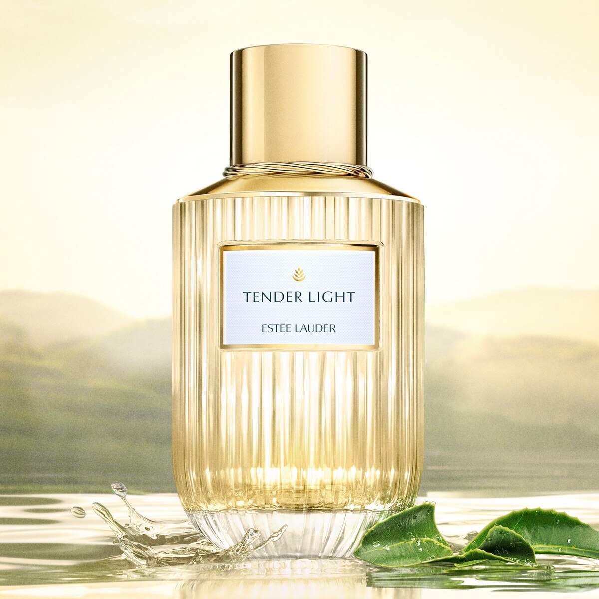 Tender Light Eau de Parfum 100ml Estée Lauder 2