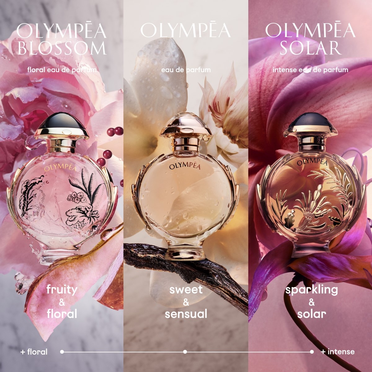 Olympéa Solar Eau de Parfum Intense 5