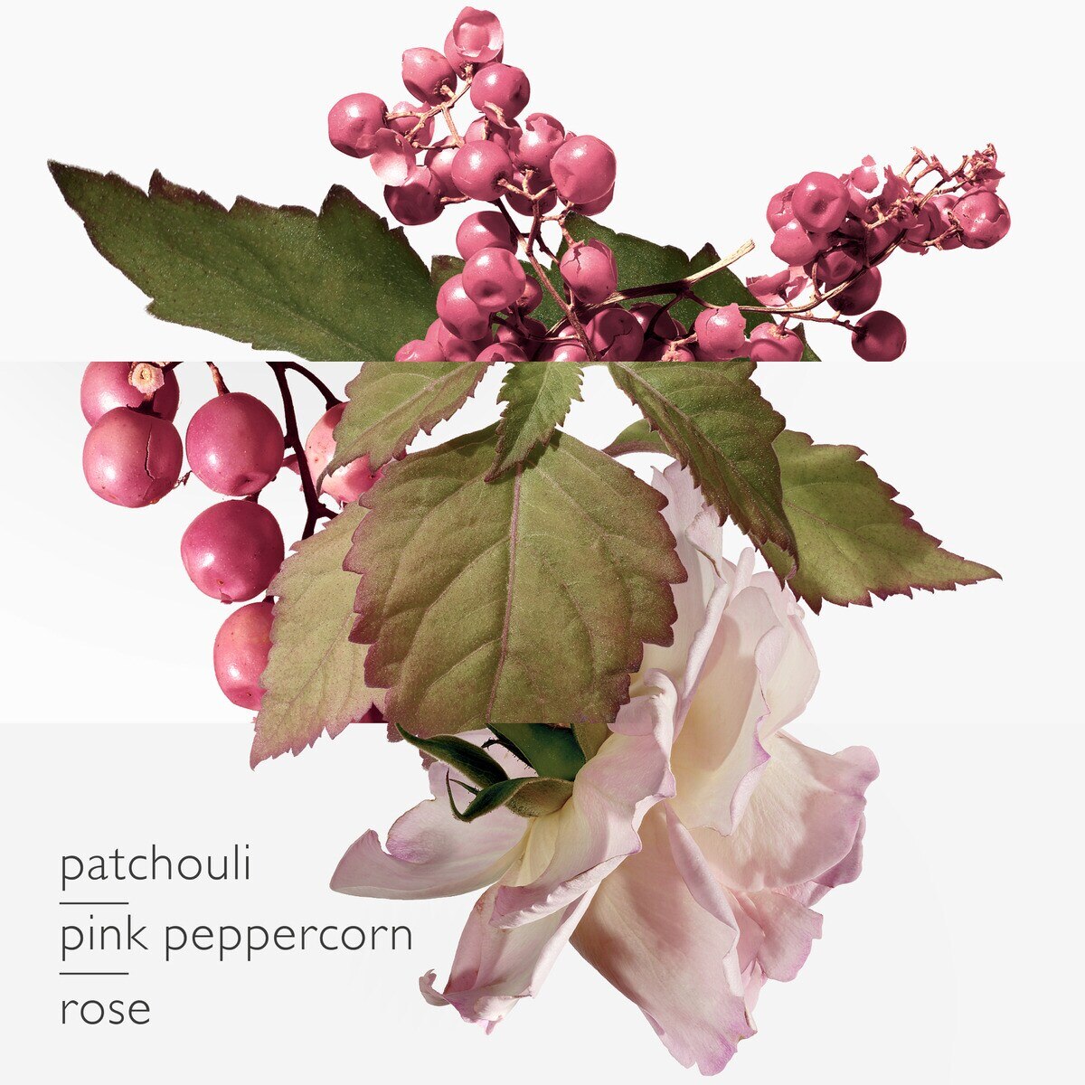 Twilly d'Hermès Eau Poivrée Eau de Parfum 3