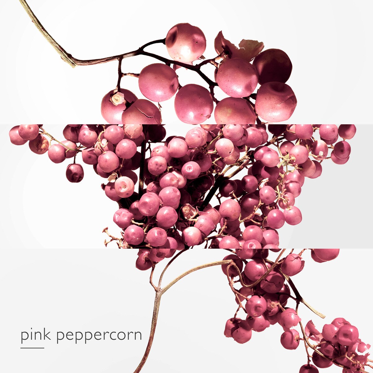 Twilly d'Hermès Eau Poivrée Eau de Parfum 4