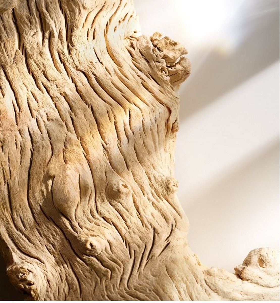 Wonderlust Eau de Parfum - 50 ml 6