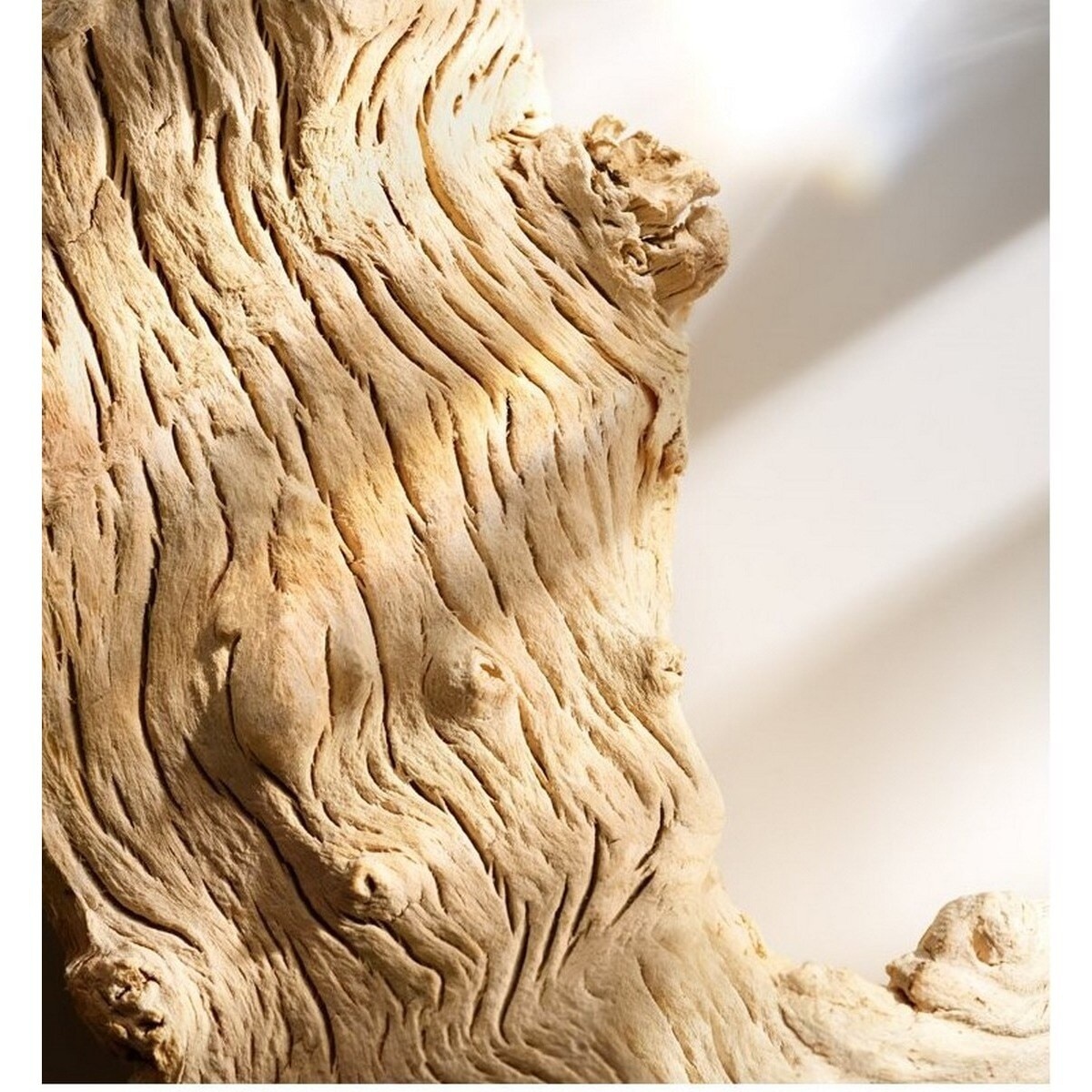 Wonderlust Eau de Parfum - 100 ml 6