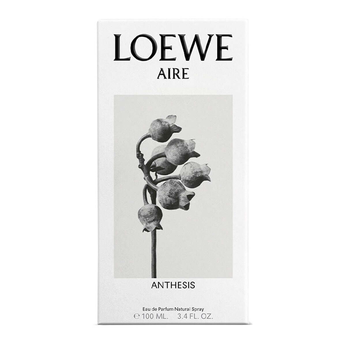 AIRE Anthesis Eau de Parfum - 100 ml 3