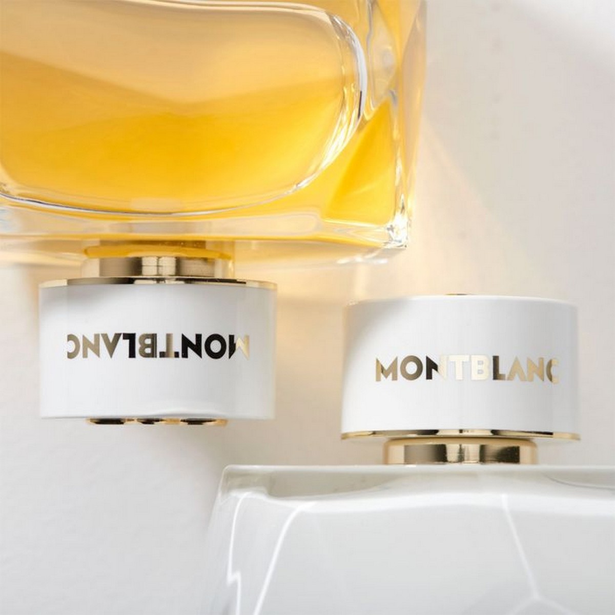 Signature Absolue Eau de Parfum - 50 ml 5