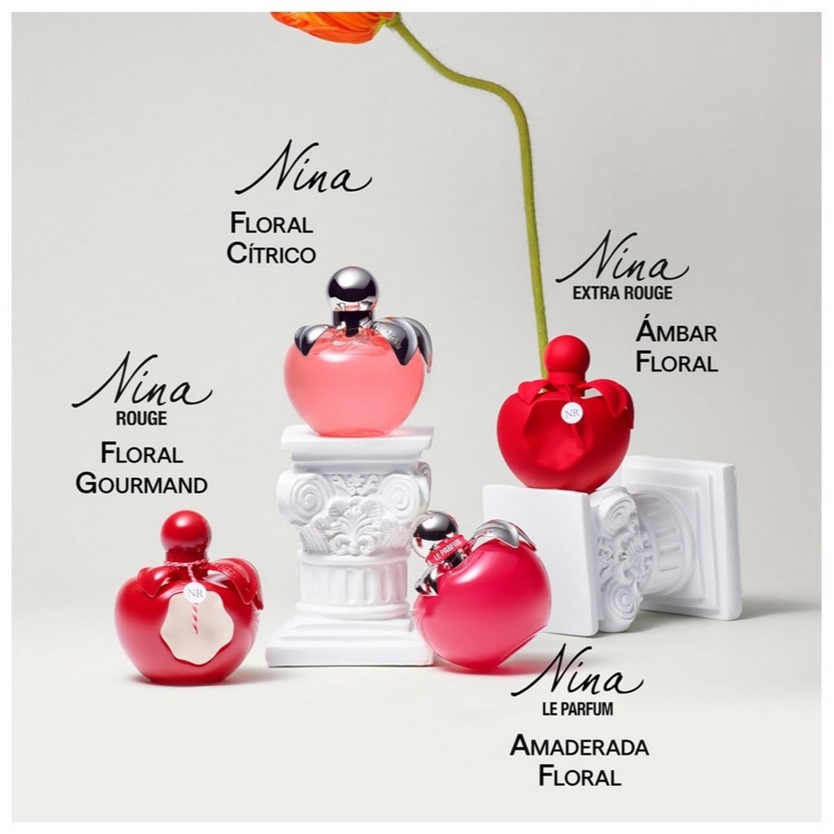 Nina Le Parfum Eau de Parfum - 50 ml 4