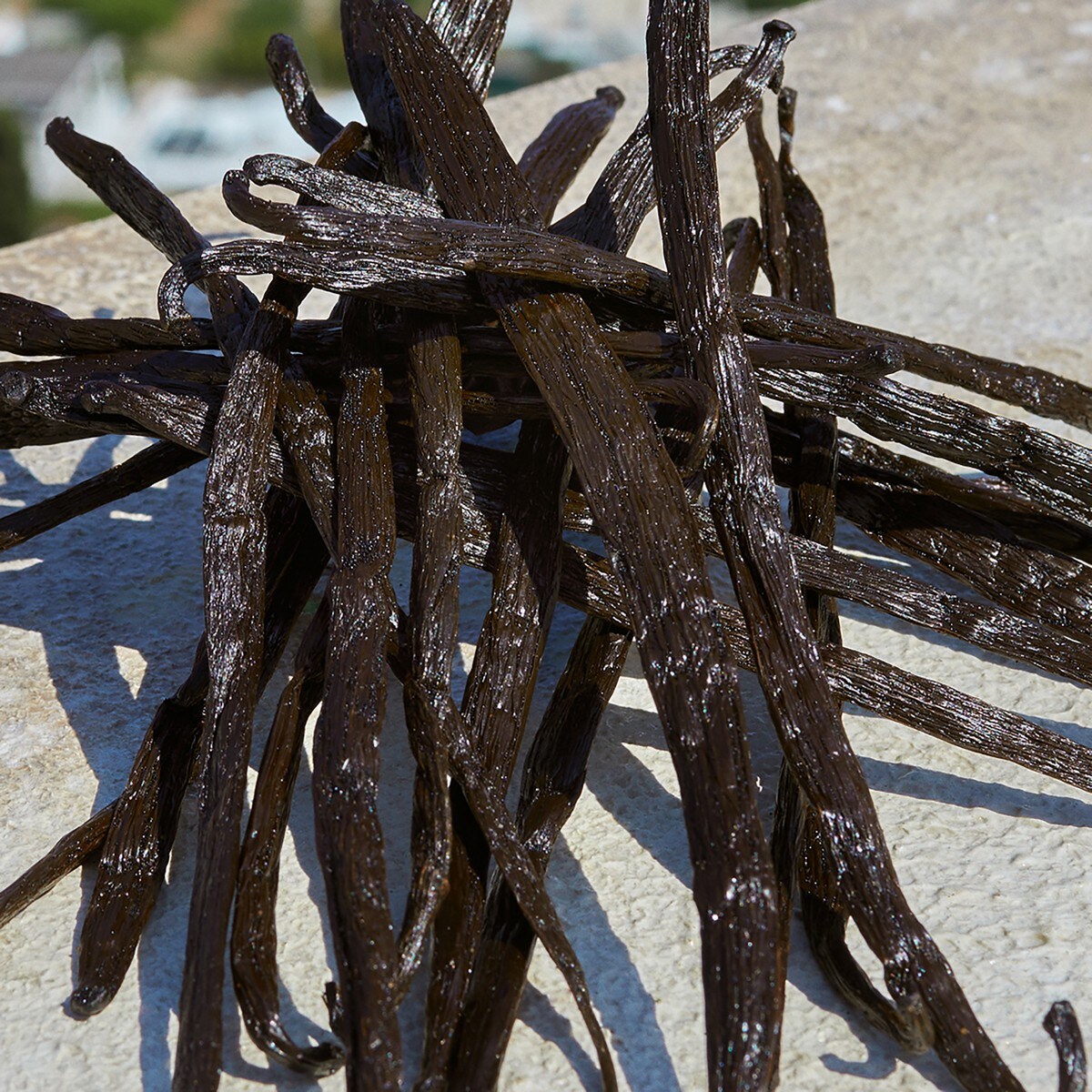 Devotion Eau de Parfum - 30 ml 6