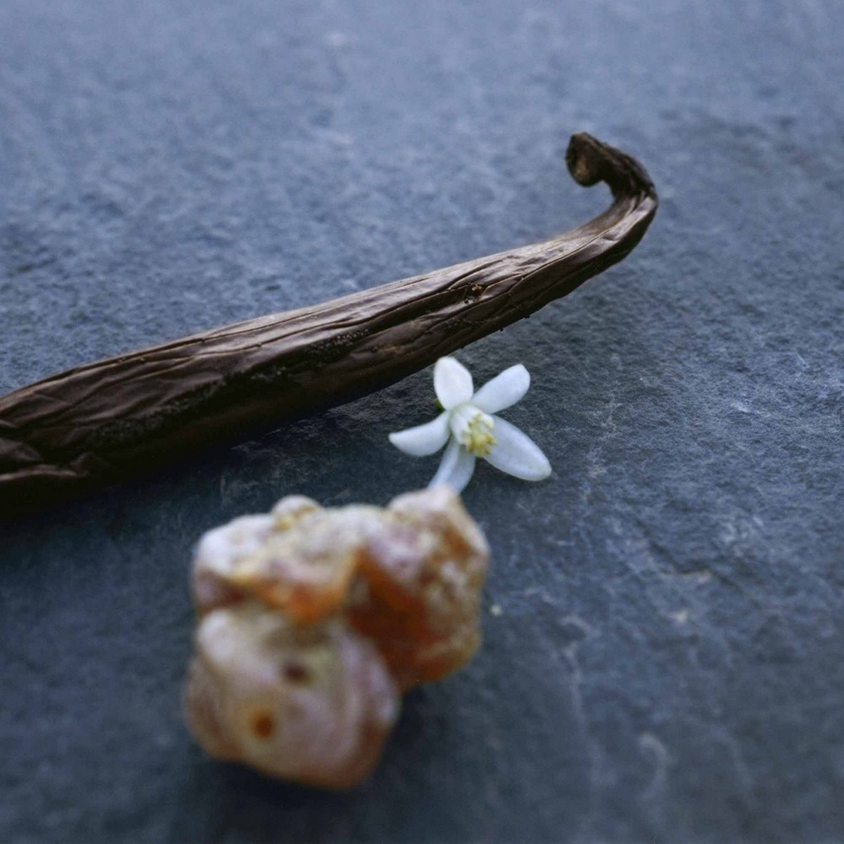 Nomade Nuit d'Egypte Eau de Parfum - 75 ml 3