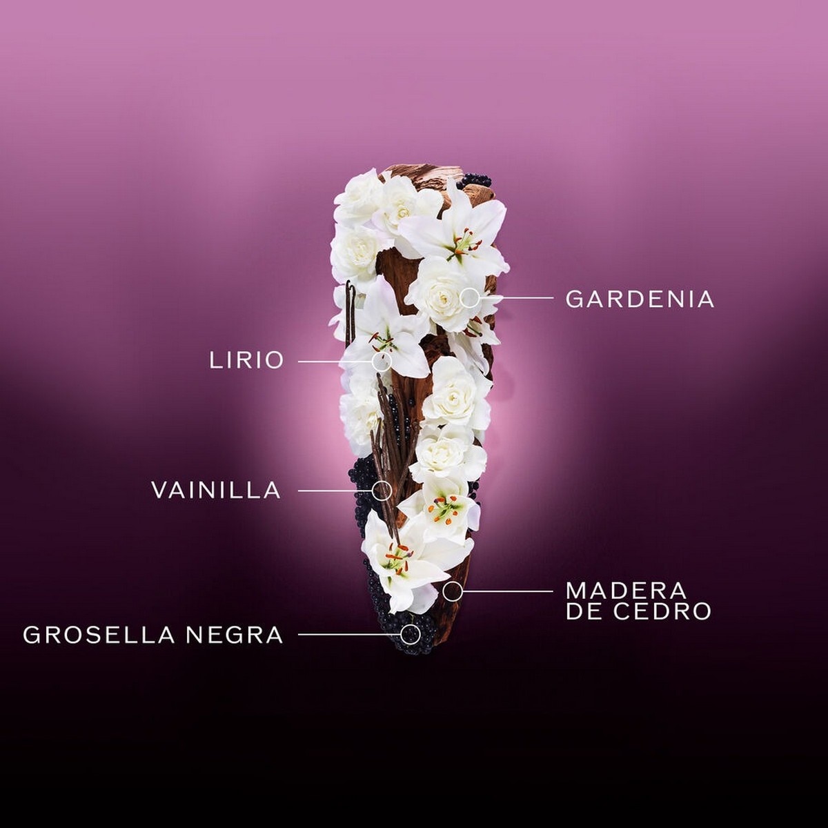 Ginza Night Eau de Parfum Intense 2